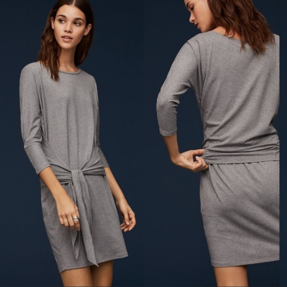 Babaton Friedman Dress Aritzia